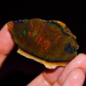 May include: A raw, polished boulder opal specimen featuring a dark brown base with vibrant flashes of red, green, and blue play-of-color. The stone has an irregular, elongated shape with a smooth, glossy surface and a distinct white edge layer.