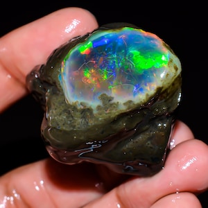 Splendid Top Grade Quality 100% Natural Welo Fire Ethiopian Opal Fancy Rough Loose Gemstone For Making Jewelry 129.5 Ct.