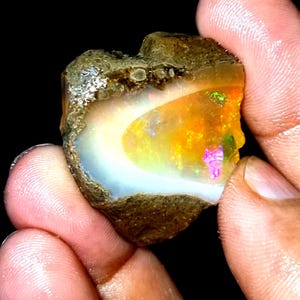 Peut inclure: Une pierre d'opale brute aux couleurs vives. La pierre présente des jeux de couleurs blancs, jaunes, oranges et violets. L'opale est tenue dans une main sur fond noir, mettant en valeur sa beauté naturelle et ses motifs uniques.