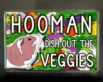 Choice of two Novelty Fridge Magnet for Guinea Pig Owners: Hooman dish out the VEGGIES and Warning This Fridge Has a Security Alarm Fitted