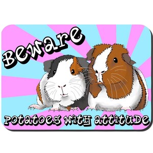 May include: A pink and blue striped background with the text "Beware Potatoes with attitude" in white. Two guinea pigs are in the foreground, one brown and white and the other black, brown, and white.