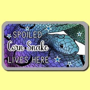 Könnte beinhalten: Ein bunter Aufkleber mit einer blauen Maisnatter, die sich um sich selbst windet. Der Aufkleber hat einen grauen Rand und den Text "SPOILED Corn Snake LIVES HERE" in Schwarz.