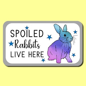 Spoiled Rabbits Live Here Novelty Decorative Sign for Rabbit Owners