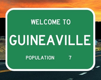 Welcome to Guineaville Novelty Road Sign Guinea Pig Lover Decoration