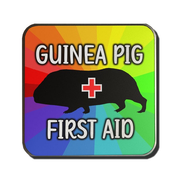 Guinea Pig Tin for First Aid Kit - Rainbow