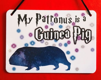 Guinea Pig Novelty Pet Cage Accessory or Decoration