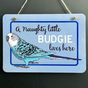Personalised Budgie Lives Here novelty wall or door sign