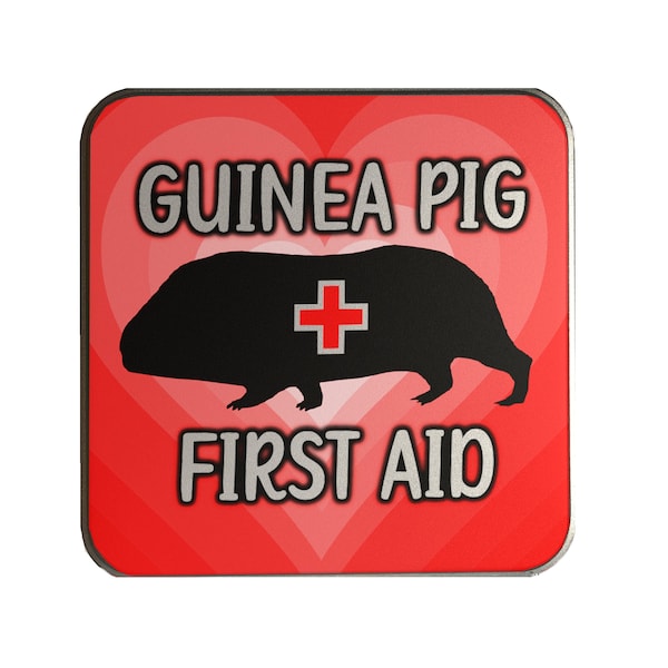 Guinea Pig Tin for First Aid Kit - Red Hearts