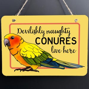 Personalised Sun Conure Lives Here novelty wall or door sign