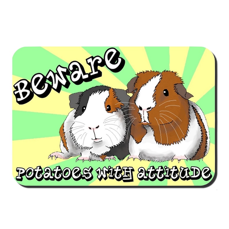 May include: A green and yellow background with a sunburst pattern. Two guinea pigs are in the foreground. The guinea pigs are brown, black, and white. The text "Beware potatoes with attitude" is at the bottom of the image.
