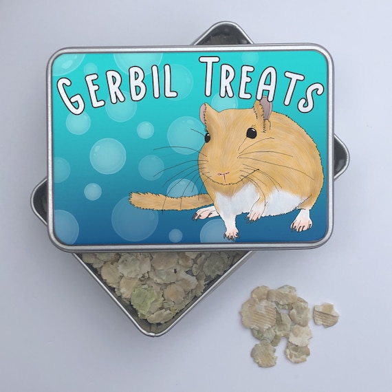 Gerbil Treat Storage Tin Blue With Bubbles Etsy Canada