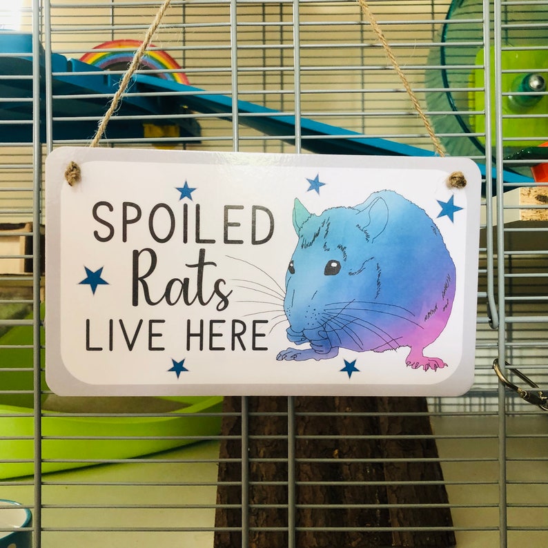 Spoiled Rats Live Here Novelty Decorative Sign for Rat Owners Etsy