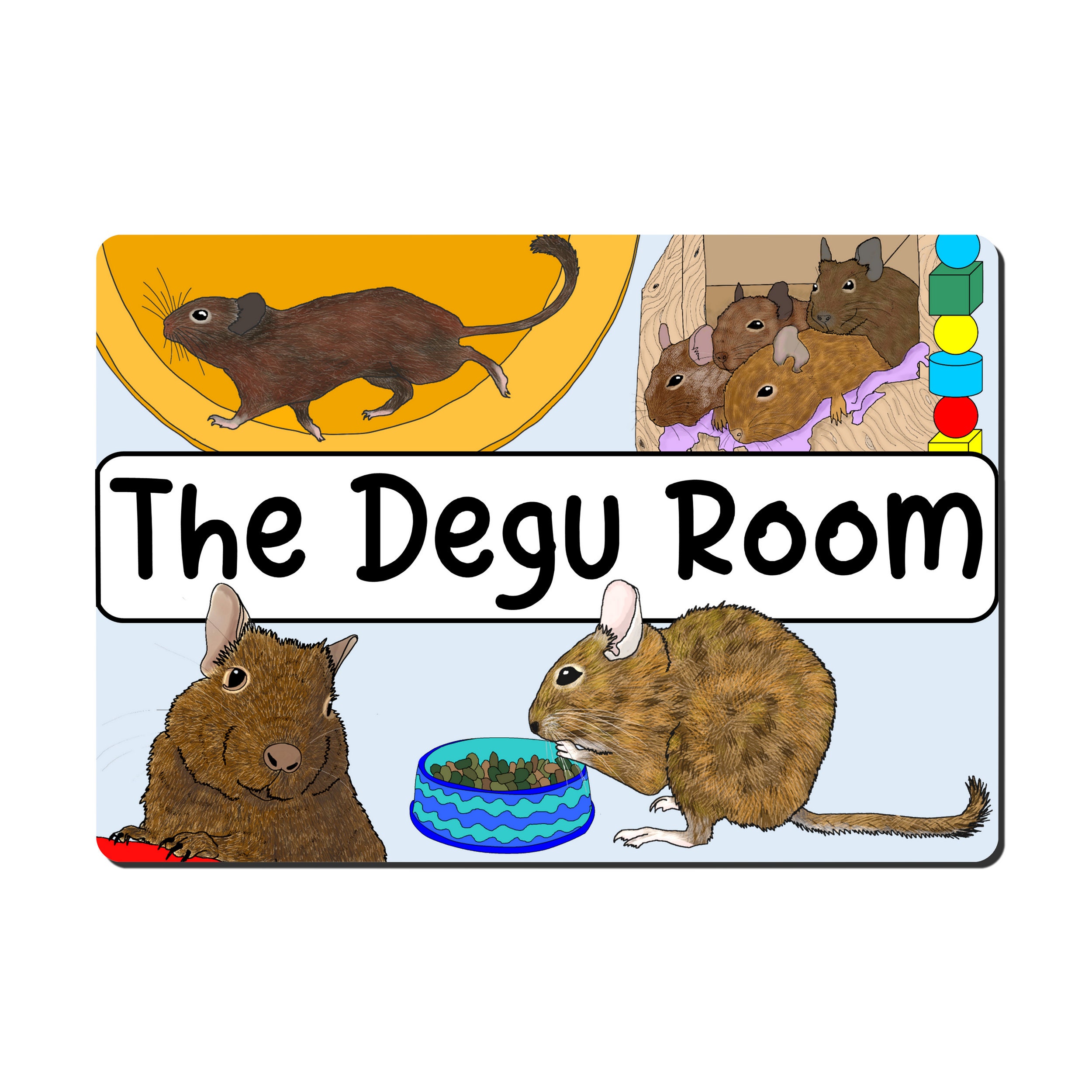 Degu Gift 60+ Gift Ideas for 2025