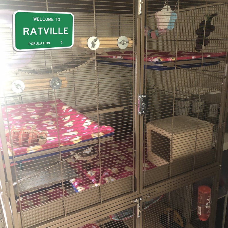 May include: A multi-level cage for small animals, with a green sign that reads "Welcome to Ratville, Population 3". The cage has multiple levels with bedding, a wooden platform, and a small house.