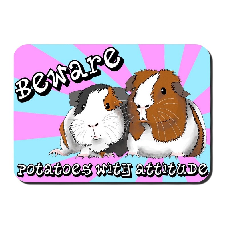 May include: A pink and blue striped background with the text "Beware Potatoes with attitude" in white. Two guinea pigs are in the foreground, one brown and white and the other black, brown, and white.