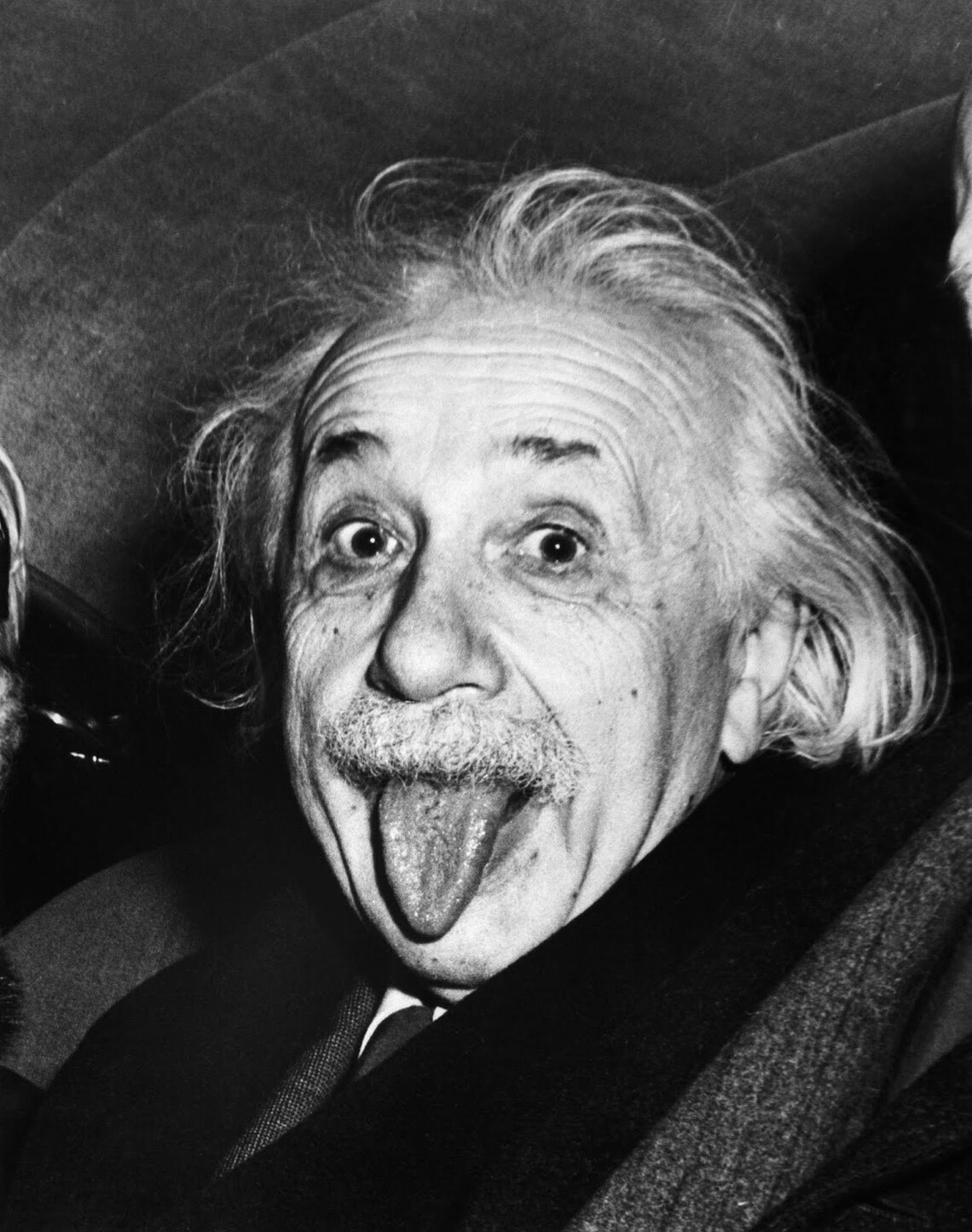 Einstein Face Mask albert / Artistic Sanitary Mask - Etsy