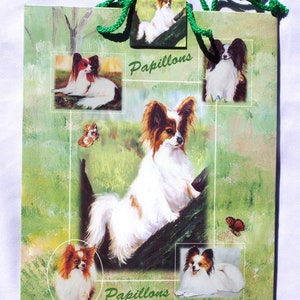 Buste regalo Papillon