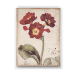 T261 Faerie Flowers