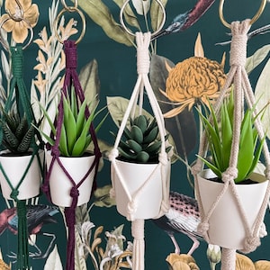 May include: Four macrame plant hangers with different coloured cords and potted plants. The hangers are made with a knotting technique and have a tassel at the bottom. The plants are in white pots and are green.
