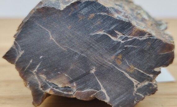 1 Montana Petrified Wood, Montana Agate, Petrify Wood, Rough Wood,  Silicified Wood, Black Wood, Brown Wood, Nevada, Montana Rockhounding - Etsy