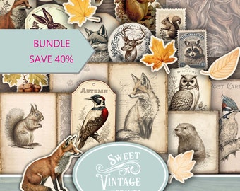 May include: A digital junk journal kit featuring woodland creatures. The kit includes images of a fox, deer, squirrel, owl, raccoon, woodpecker, and otter. The images are in a vintage style with brown, beige, and white colors. The kit also includes several patterned papers and a title card that says "Woodland Creatures".