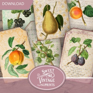 Étiquettes de fruits d’automne, étiquettes de fruits vintage, journal d’automne, étiquettes de fruits, journal indésirable d’automne, éphémères d’automne, journal numérique, téléchargement imprimable