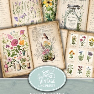 Diário de lixo de flores silvestres e ervas, páginas de diário de lixo de flores silvestres, livro de botânica para impressão de flores silvestres, páginas de diário de ervas, wfh