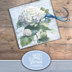Junk Journal Folio Kit Hydrangea, Printable Folio, Hydrangea Folio, Hydrangea Ephemera, Flower Folio printables, Vintage Flower Folio Hdr
