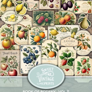 Kit de efímeras de frutas para diario basura, Kit de efímeras de frutas botánicas, Efímeras de frutas de otoño para diario basura, Efímeras de frutas, Libro de botánica, Vol. II