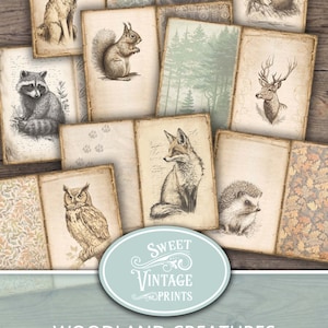 Pages de journal indésirable Créatures des bois, Pages de journal indésirable de la forêt, Renard à imprimer, écureuil à imprimer, téléchargement hérisson, Journal animaux indésirable