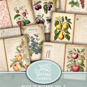 Fruits Junk Journal, Fruit Junk Journal Pages, Fruit Printables, Fruits Journal Pages, Botanic Fruits Journal, Book of Botany Fruits Vol II