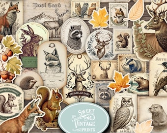 Junk Journal Ephemera Waldkreaturen, Herbstwaldtiere Druckbare Ephemera, Wald PDF digitaler Download | Süße vintageprints wlc