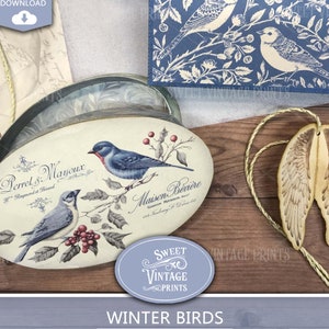 Caja imprimible con pájaros de invierno / Caja de regalo DIY / Caja de papel para descargar digitalmente / Sweetvintageprints / wbd