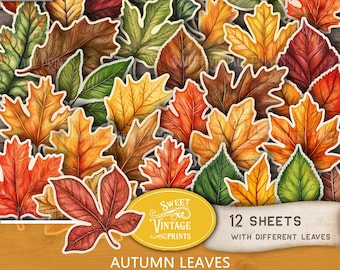 Printable Autumn Leaves Fussy Cut | Fall Junk Journal Ephemera Digitals | Autumn Leaf Collection Downloadable PDF | sweetvintageprints | atl