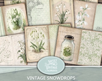 May include: A set of 10 printable vintage style journal pages featuring snowdrops, botanical illustrations, and French text. The pages are perfect for adding a touch of vintage charm to your junk journals, planners, or other paper crafts.