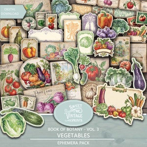 Diário de Vegetais e Lixo | Etiqueta e Rótulo para Impressão de Vegetais | Cenouras com Cortes Especiais | Download Digital de Tomate em PDF | Sweetvintageprints | vgt