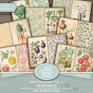 Pages du journal indésirable Légumes | Livre de botanique Vol.3 Légume | Imprimables végétariens | Légumineuses numériques Télécharger le PDF | Sweetvintageprints | vgt