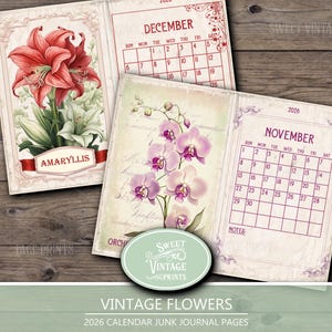 K&ouml;nnte beinhalten: Vintage Junk Journal Seiten mit floralen Illustrationen und Kalenderlayouts f&uuml;r 2026. Die Seiten zeigen Bilder von Amaryllis und Orchideen, mit Kalendern f&uuml;r Dezember und November. Das Design umfasst dekorative Bord&uuml;ren und den Text "Sweet Vintage Prints."