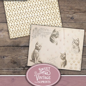 May include: Decorative papers with a vintage aesthetic. One sheet features a repeating crown pattern in gold on a cream background. The other sheet has cat illustrations and the text "CAT LOVER'S JOURNAL" and "DECORATIVE PAPERS".
