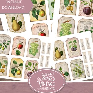 May include: A set of printable vintage style fruit tags featuring illustrations of various fruits, including pears, apples, grapes, plums, and quinces. The tags are perfect for adding a touch of rustic charm to your crafts and projects.