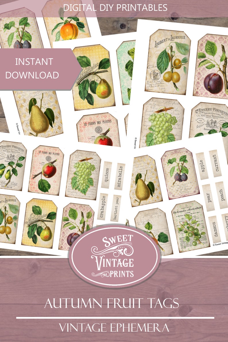 May include: A set of printable vintage style fruit tags featuring illustrations of various fruits, including pears, apples, grapes, plums, and quinces. The tags are perfect for adding a touch of rustic charm to your crafts and projects.
