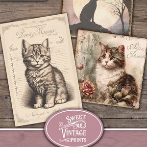 May include: A collection of vintage-style cat-themed ephemera. Includes illustrations of cats, a silhouette of a cat on a moonlit night, and decorative text. The words "Sweet Vintage Prints" and "Cat Lover's Journal" are also visible.