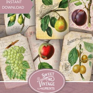 May include: Set of six printable vintage fruit tags featuring illustrations of pears, grapes, apples, plums, and a handwritten inscription. The tags are perfect for adding a touch of vintage charm to your crafts and projects.