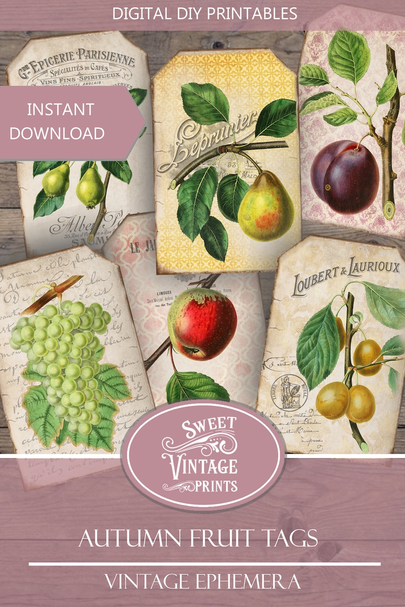 May include: Set of six printable vintage fruit tags featuring illustrations of pears, grapes, apples, plums, and a handwritten inscription. The tags are perfect for adding a touch of vintage charm to your crafts and projects.