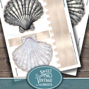 May include: Printable scallop box template. The template includes four pieces: the bottom outside, the bottom inside, the top lid outside, and the top lid inside. The design features a detailed illustration of a scallop shell.