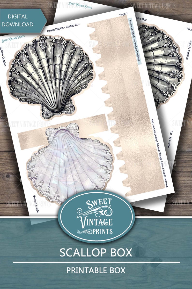 May include: Printable scallop box template. The template includes four pieces: the bottom outside, the bottom inside, the top lid outside, and the top lid inside. The design features a detailed illustration of a scallop shell.