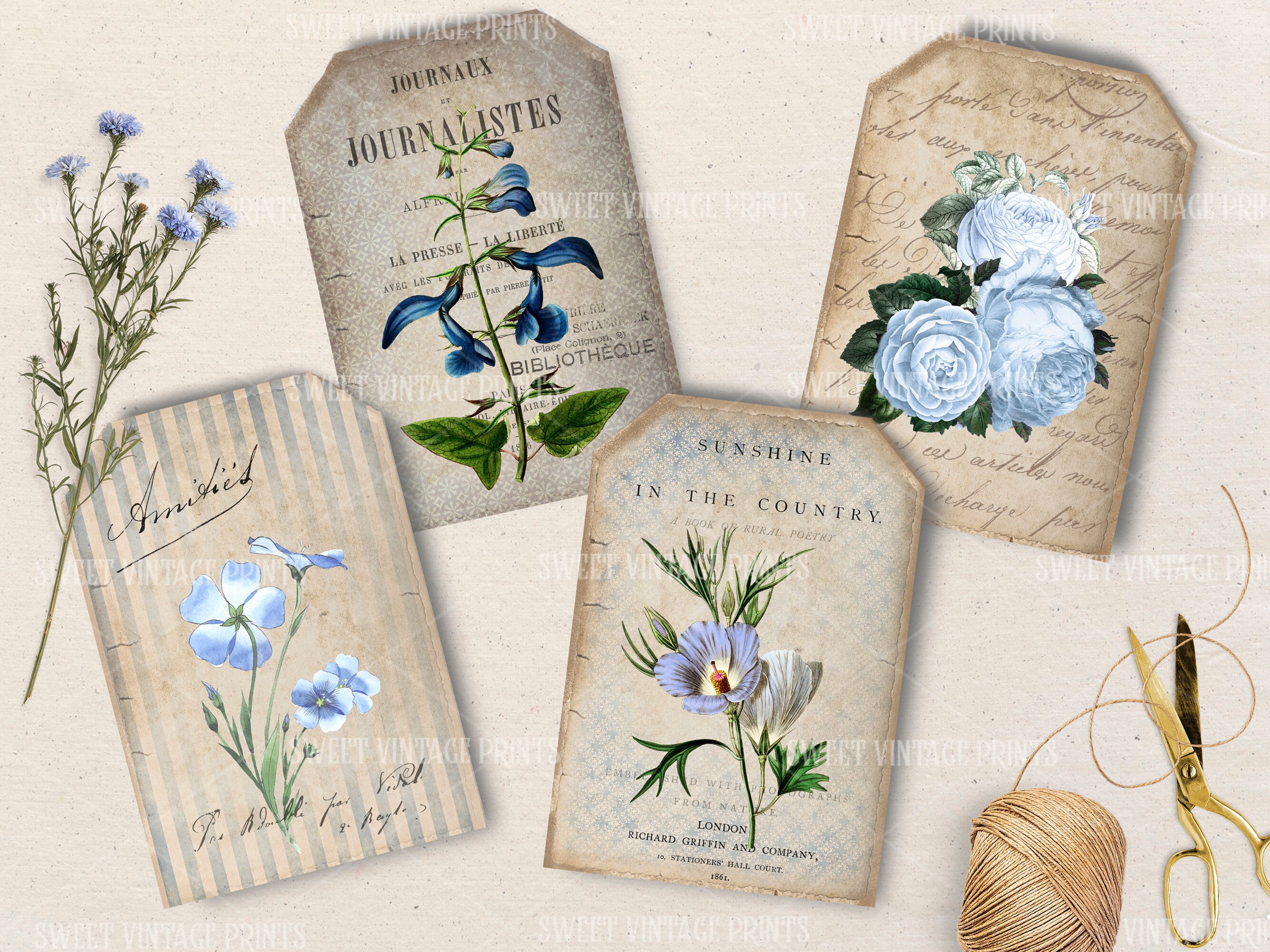 Flower Label Blue Antique Botanics, Blue, Vintage Flowers, Plants, Labels, Tag Flip, Blue ...