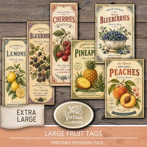 Große, ausdruckbare Vintage-Fruchtetiketten | DIY-Sommer-Retro-Marmeladenetiketten | Bastelset | Digitaler Download für Scrapbooking | smm