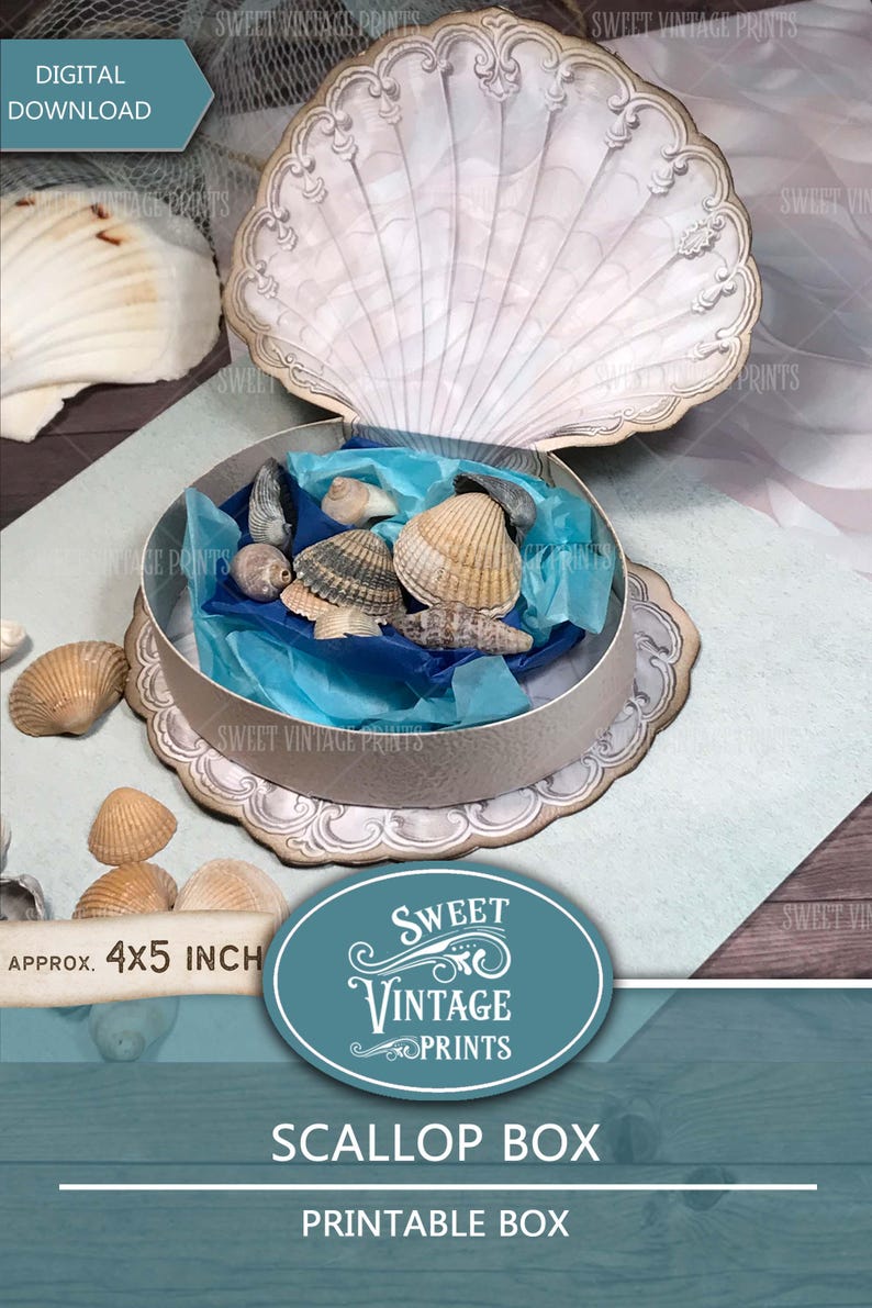 May include: A printable scallop shell box template, approximately 4x5 inches, with a white and silver design. The box is open and filled with seashells on a blue background. The text "Sweet Vintage Prints" is visible on the box and the image.