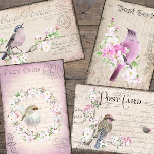 Cartes postales d'oiseaux de printemps, carte postale vintage de printemps, journal indésirable de printemps, éphémères d'oiseaux de printemps, cartes d'oiseaux, Apple Blossom, numérique, imprimable,